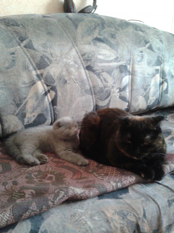 13244201-06-08 19.44.53.jpg (1.17 МБ) 11691 просмотр 13244201-06-08 19.44.53.jpg