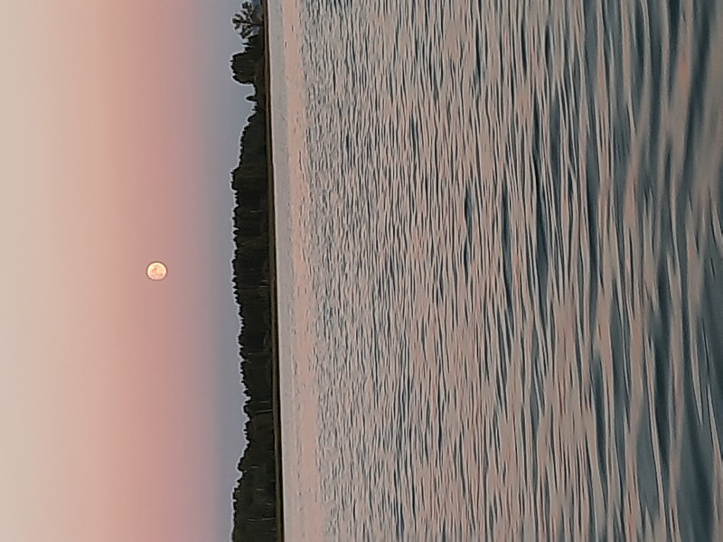 20200830_202706.jpg