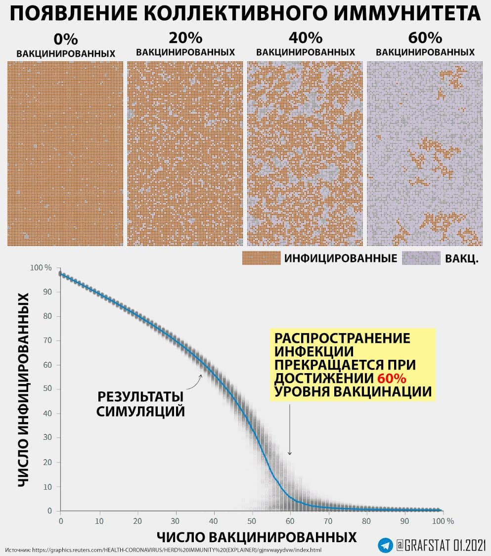 имун.jpg