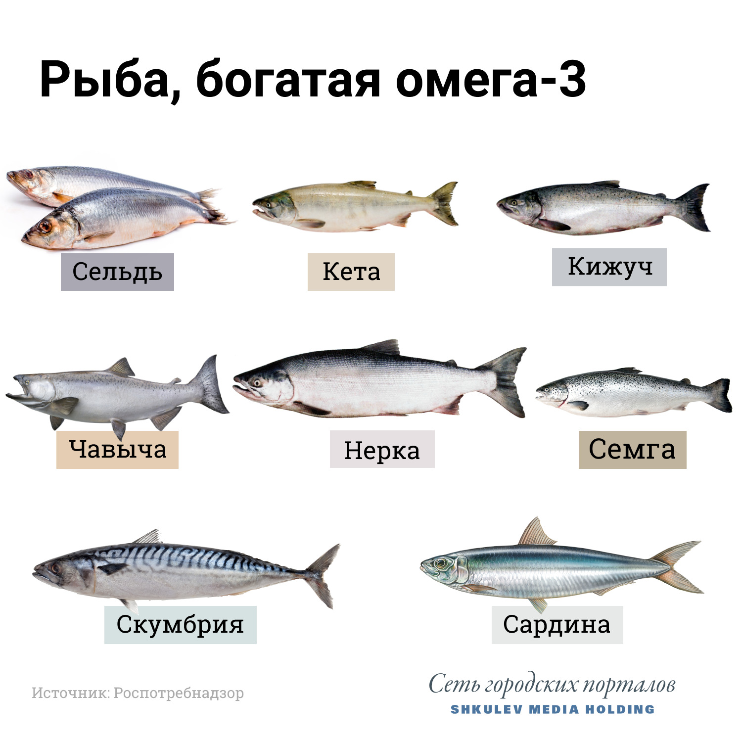 3рыба.jpg