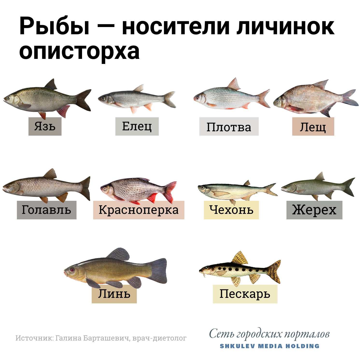 4рыба.jpg