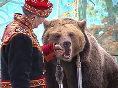 bear_zubi.jpg